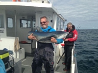 Paul Blue Shark